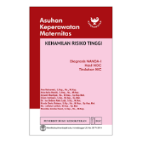 Image of Asuhan Keperawatan Maternitas Kehamilan Resiko Tinggi Diagnosis NANDA-I Hasil NOC Tindakan NIC