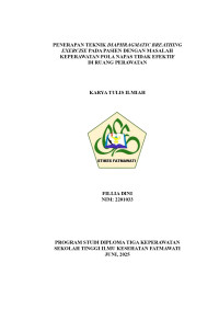 Image of KTI KMB : Penerapan teknik diaphragmatic breathing exercise pada pasien dengan masalah keperawatan pola napas tidak efektif di ruang perawatan