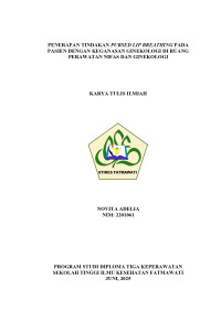 Image of KTI Maternitas : Penerapan Tindakan Pursed Lip Breathing Pada Pasien dengan Keganasan Ginekologi Di Ruang Perawatan Nifas dan Ginekologi